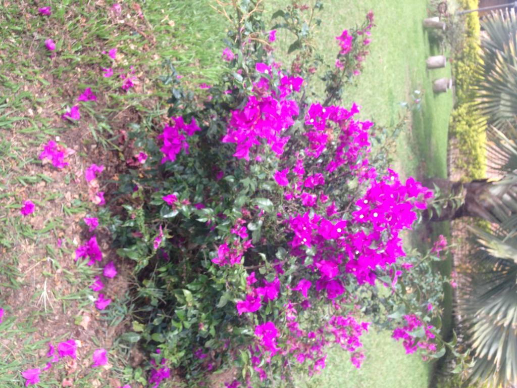 הוילה Calarcá Finca El Diamante מראה חיצוני תמונה