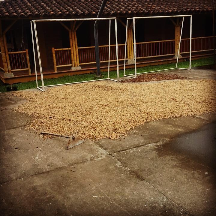 הוילה Calarcá Finca El Diamante מראה חיצוני תמונה