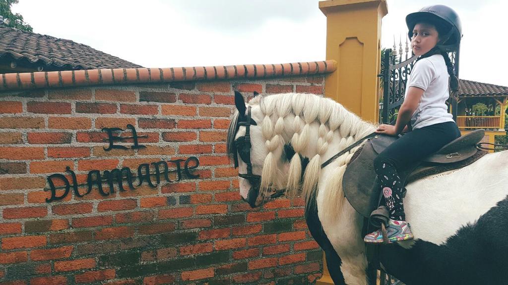הוילה Calarcá Finca El Diamante מראה חיצוני תמונה