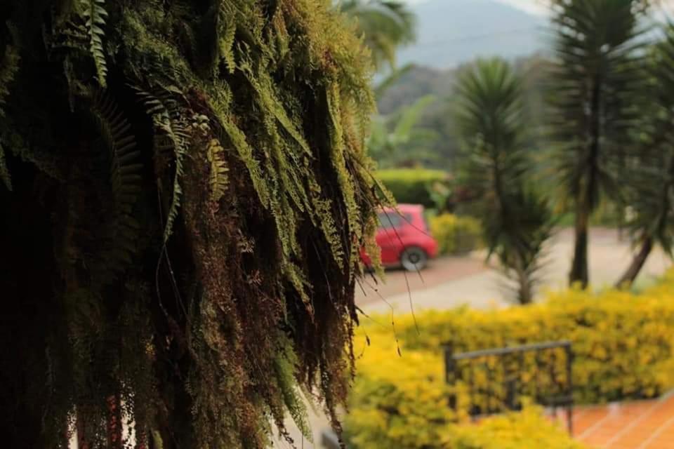 הוילה Calarcá Finca El Diamante מראה חיצוני תמונה