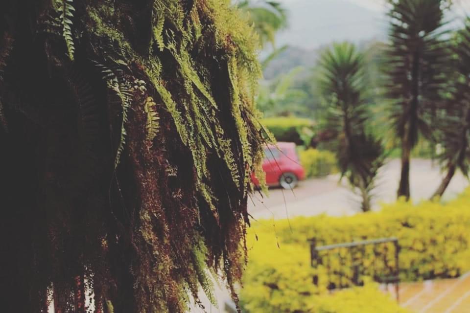 הוילה Calarcá Finca El Diamante מראה חיצוני תמונה